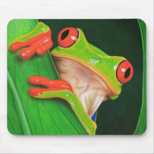 Roter mit Augen Baum-Frosch Mousepad