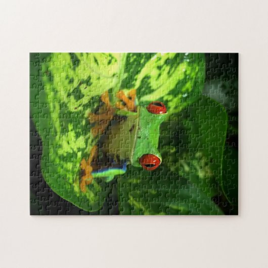 Roter Mit Augen Baum Frosch Regenwaldsteg Puzzle (Horizontal)