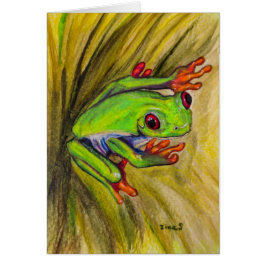 Roter mit Augen Baumfrosch