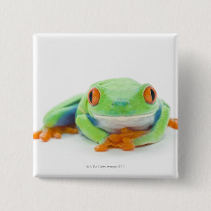 Roter Mit Augen Baumfrosch (Agalychnis Callidryas) Button