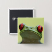 Roter mit Augen Baumfrosch (Agalychnis callidryas) Button (Vorne & Hinten)
