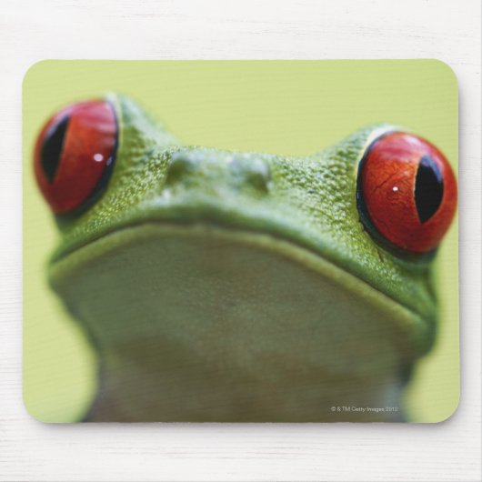 Roter mit Augen Baumfrosch (Agalychnis callidryas) Mousepad (Vorne)