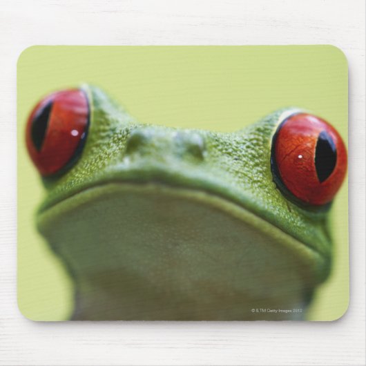 Roter mit Augen Baumfrosch (Agalychnis callidryas) Mousepad (Vorne)