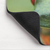 Roter mit Augen Baumfrosch (Agalychnis callidryas) Mousepad (Ecke)