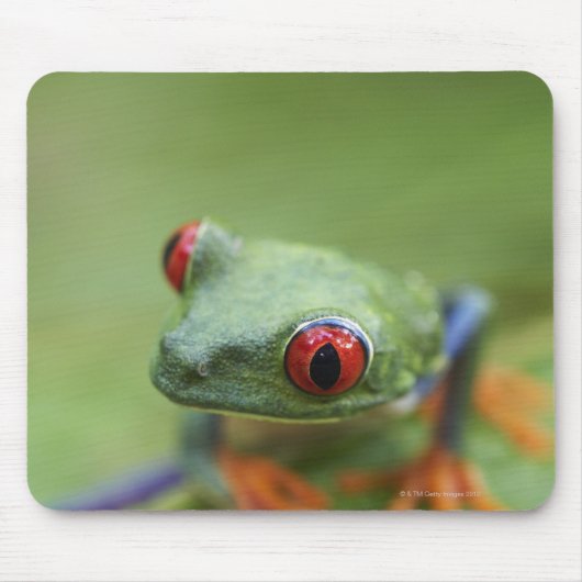 Roter mit Augen Baumfrosch (Agalychnis callidryas) Mousepad (Vorne)