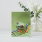 Roter mit Augen Baumfrosch (Agalychnis callidryas) Postkarte (Stehend Vorderseite)