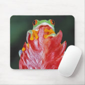 Roter Mit Augen Baumfrosch am Leaf Mousepad (Mit Mouse)