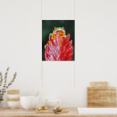 Roter Mit Augen Baumfrosch am Leaf Poster (Küche)