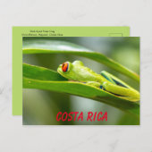Roter Mit Augen Baumfrosch aus Costa Rica auf der  Postkarte (Vorne/Hinten)