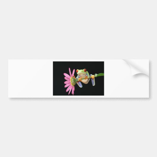 roter mit Augen Baumfrosch Autoaufkleber (Vorne)