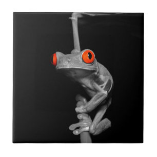 Roter Mit Augen Baumfrosch Fliese
