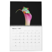 roter mit Augen Baumfrosch, Kalender der Frösche (Feb 2027)