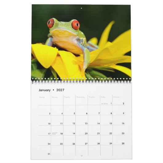 roter mit Augen Baumfrosch, Kalender der Frösche (Jan 2027)