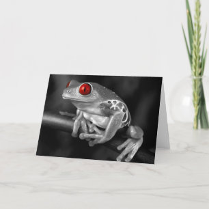 Roter Mit Augen Baumfrosch Karte