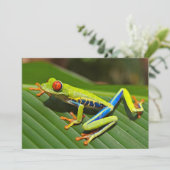 Roter mit Augen Baumfrosch Karte (Stehend Vorderseite)