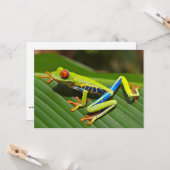 Roter mit Augen Baumfrosch Karte (Vorderseite/Rückseite Beispiel)