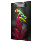 Roter mit Augen Baumfrosch Klemmbrett (Links)