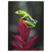 Roter mit Augen Baumfrosch Klemmbrett (Rückseite)