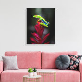 Roter mit Augen Baumfrosch Leinwanddruck (Insitu (Wohnzimmer))