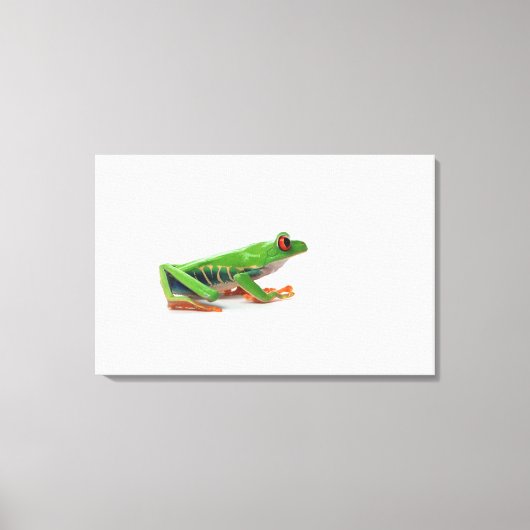 Roter mit Augen Baumfrosch Leinwanddruck (Vorderseite)
