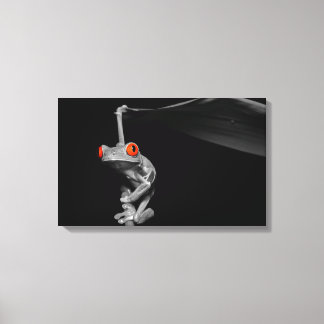 Roter Mit Augen Baumfrosch Leinwanddruck