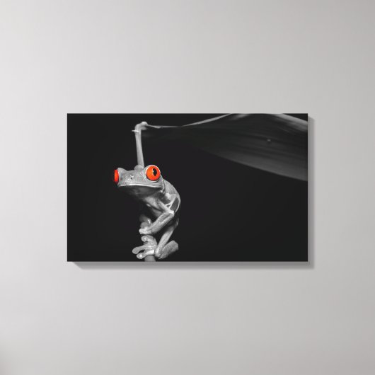 Roter Mit Augen Baumfrosch Leinwanddruck (Vorderseite)
