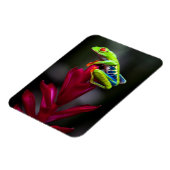 Roter mit Augen Baumfrosch Magnet (Linke Seite)