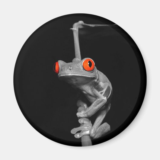 Roter Mit Augen Baumfrosch Magnet (Vorne)