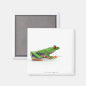 Roter mit Augen Baumfrosch Magnet (Vorderseite/Rückseite)