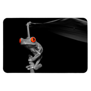 Roter Mit Augen Baumfrosch Magnet