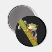 Roter mit Augen Baumfrosch Magnet (Vorderseite/Rückseite)