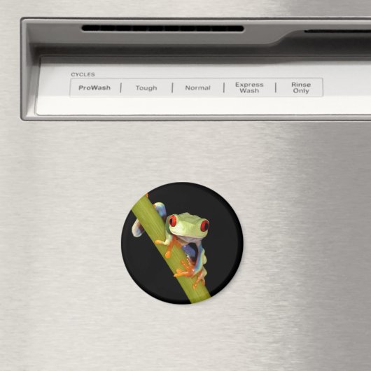 Roter mit Augen Baumfrosch Magnet (In Situ (Geschirrspüler))