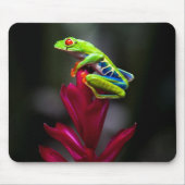 Roter mit Augen Baumfrosch Mousepad (Vorne)