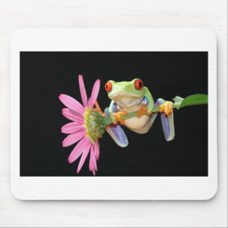 roter mit Augen Baumfrosch Mousepad