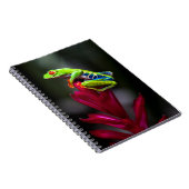 Roter mit Augen Baumfrosch Notizblock (Rechte Seite)