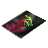 Roter mit Augen Baumfrosch Notizblock (Linke Seite)