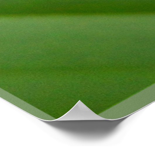 Roter mit Augen Baumfrosch Poster (Ecke)