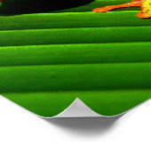 Roter mit Augen Baumfrosch Poster (Ecke)