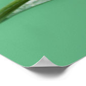 Roter mit Augen Baumfrosch Poster (Ecke)