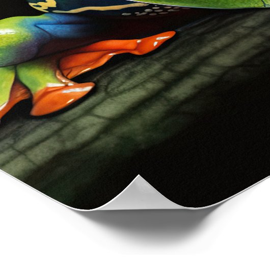 Roter mit Augen Baumfrosch Poster (Ecke)