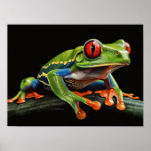 Roter mit Augen Baumfrosch Poster (Vorne)