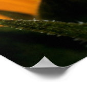 Roter mit Augen Baumfrosch Poster (Ecke)