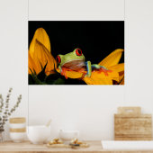Roter mit Augen Baumfrosch Poster (Küche)