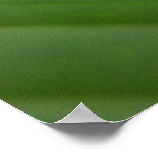 Roter mit Augen Baumfrosch Poster (Ecke)