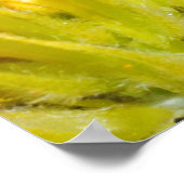 Roter mit Augen Baumfrosch Poster (Ecke)