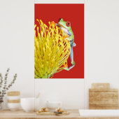 Roter mit Augen Baumfrosch Poster (Küche)