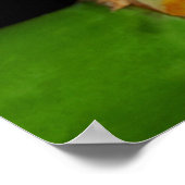 Roter mit Augen Baumfrosch Poster (Ecke)