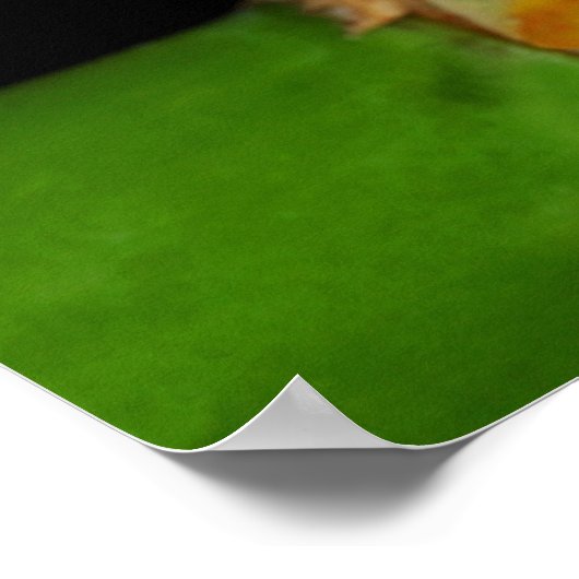 Roter mit Augen Baumfrosch Poster (Ecke)