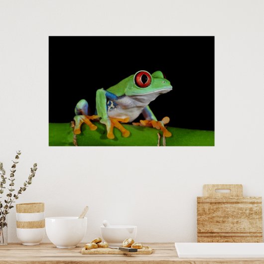Roter mit Augen Baumfrosch Poster (Küche)
