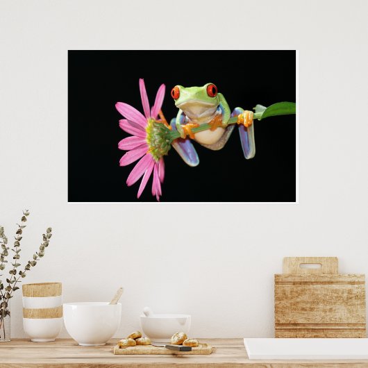 Roter mit Augen Baumfrosch Poster (Küche)